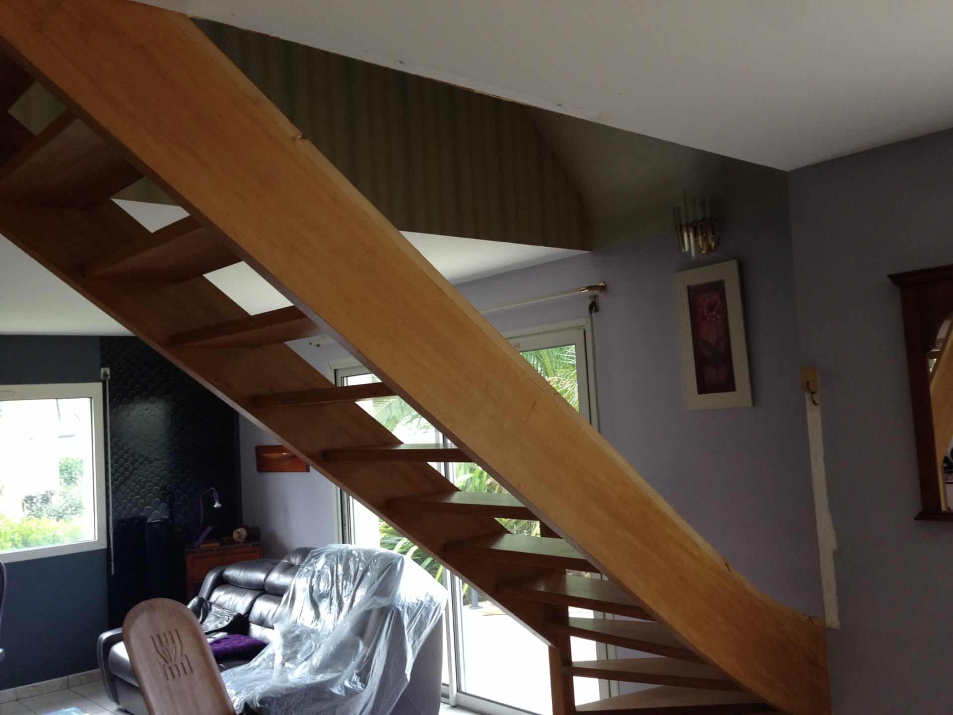 Escaliers garde-corps avant (2)